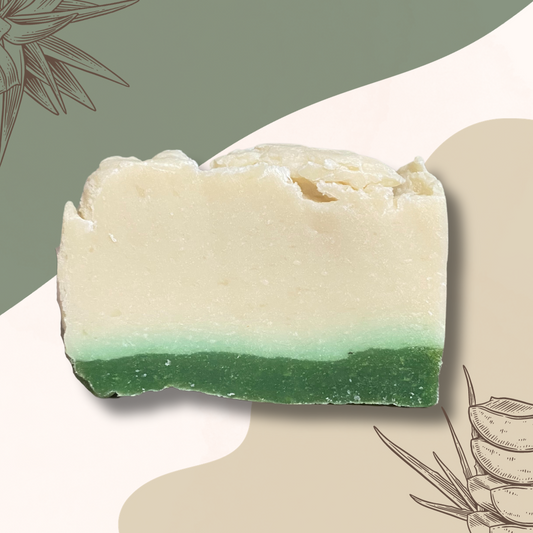 Savon artisanal à base d'huile d'olive - Enrichi au lait d'ânesse et Aloe Vera - un savon