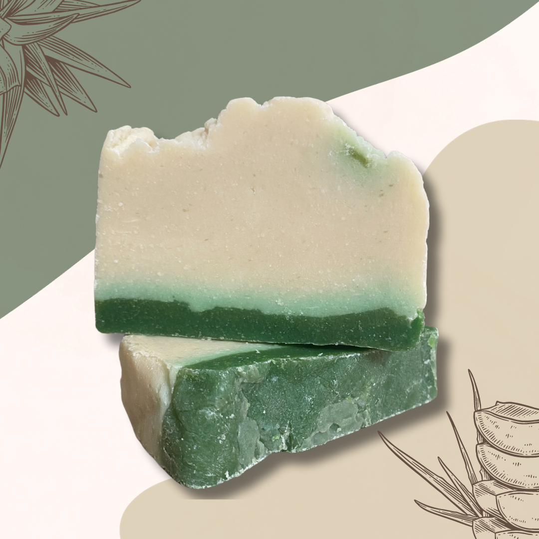 Savon artisanal à base d'huile d'olive - Enrichi au lait d'ânesse et Aloe Vera - deux savons