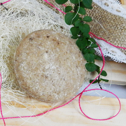 Shampooing Traitement à l'huile de Bréa